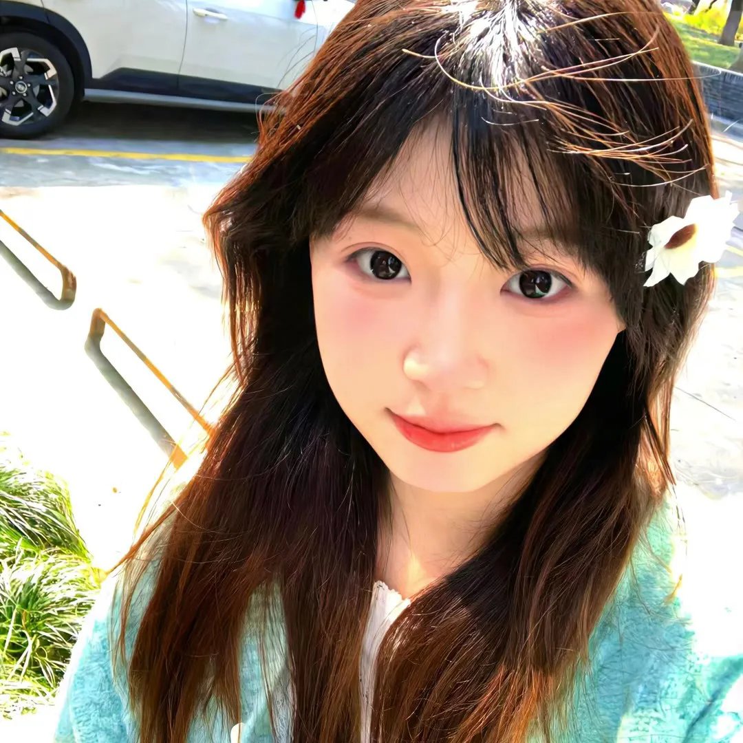 没人瞭波斯猫